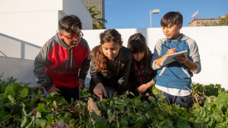 Three kids learning in an outdoor garden, looking at plants